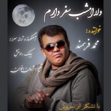 آهنگ جدید  محمد فرهمند به نام دلا امشب سفر دارم